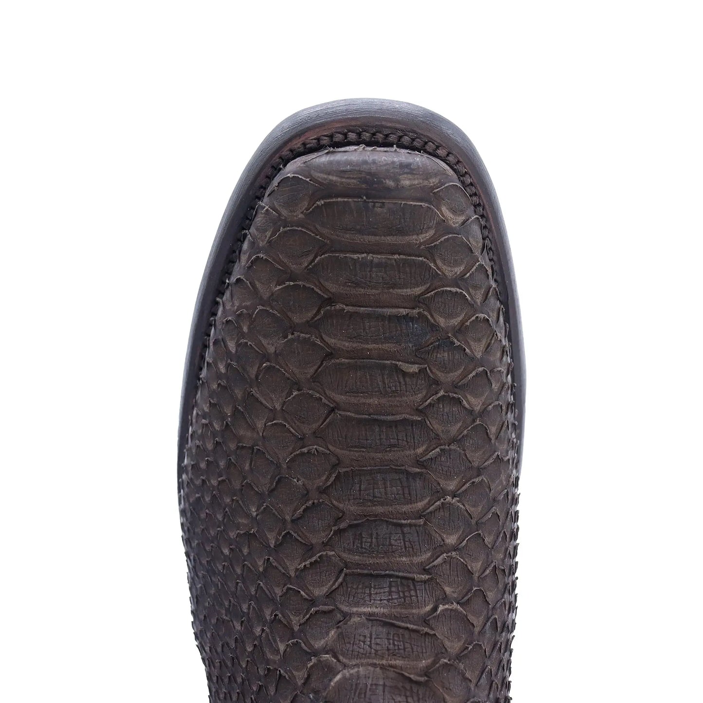 Botín Imperial de Python PE102