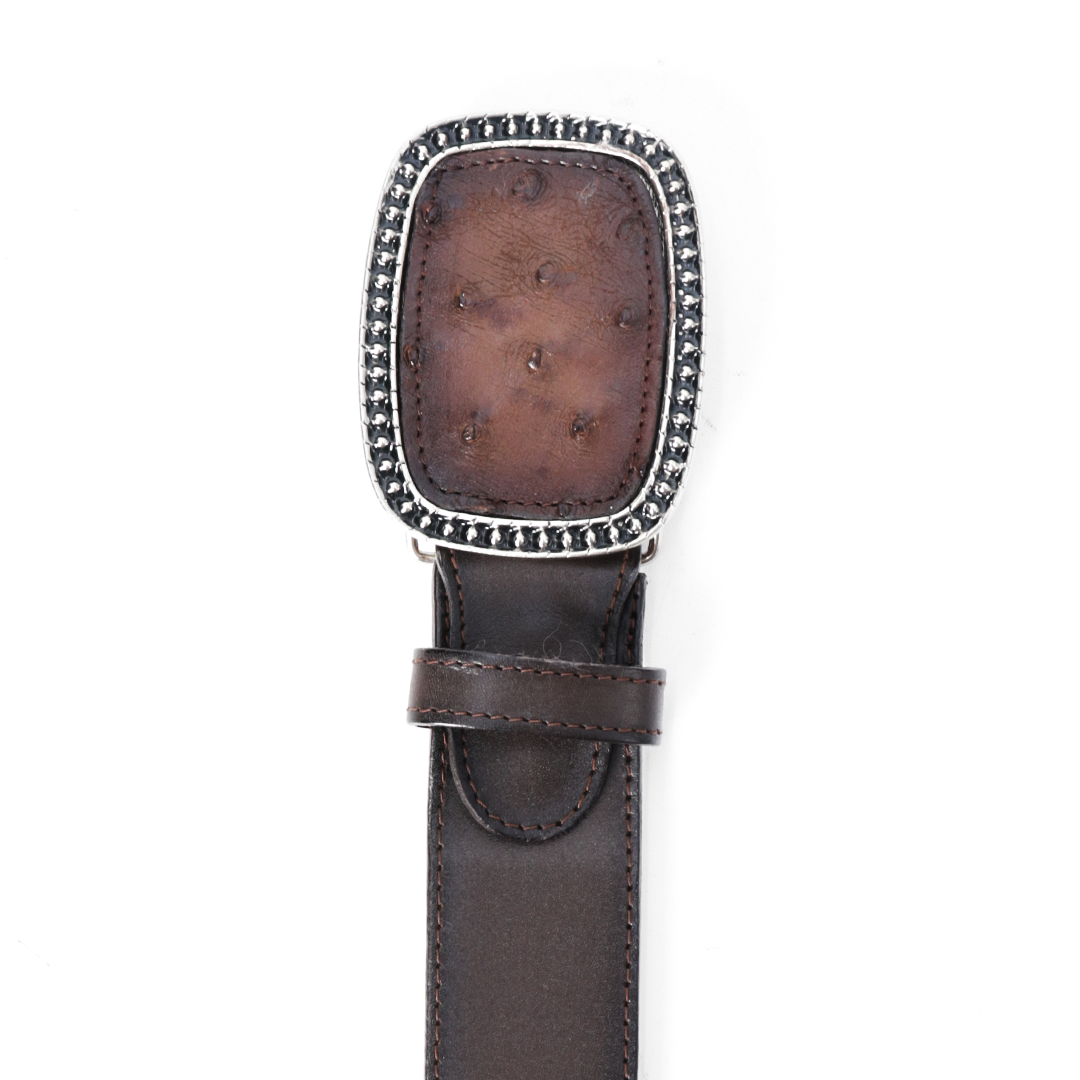 Python Leather Sovereign Belt PE467