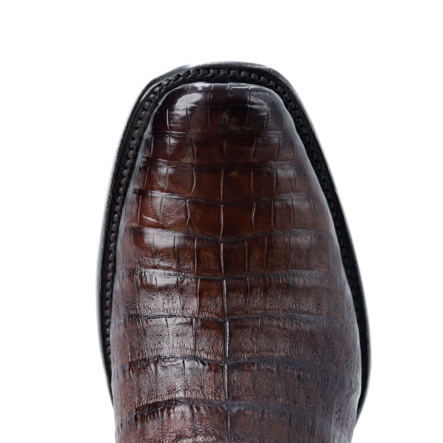Botín Emperador en Piel de Cocodrilo PL301