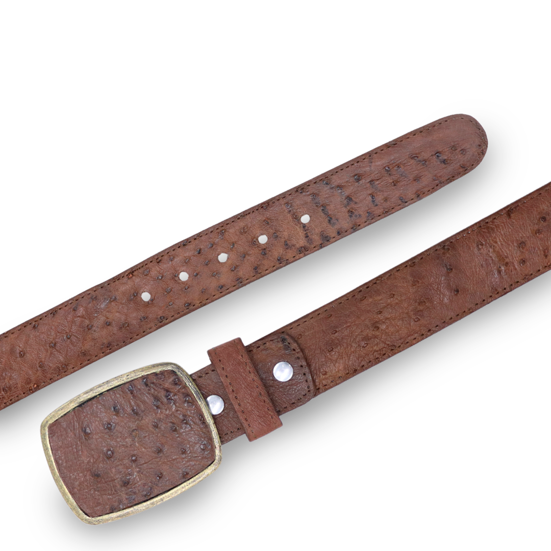 Exotic belt PE460 